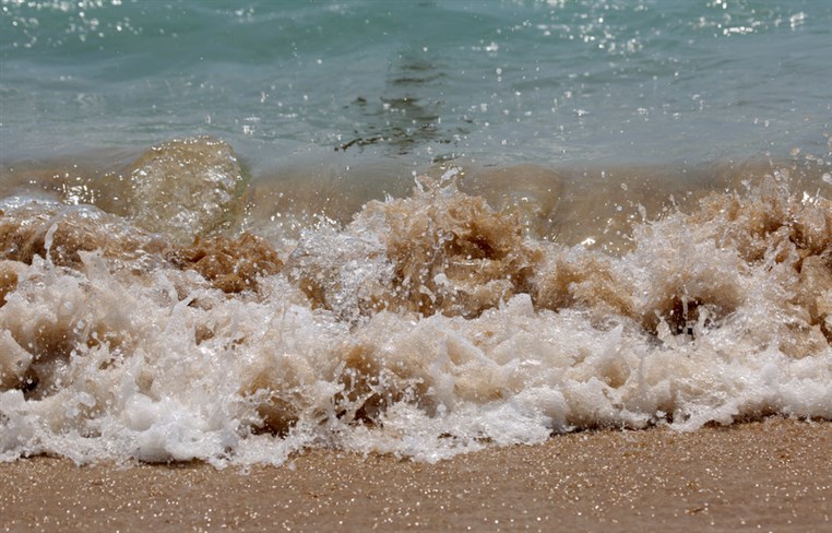 Edde Sands on Thursday 
